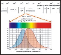 微型光纖光譜儀基礎(chǔ)知識(shí)(圖3)